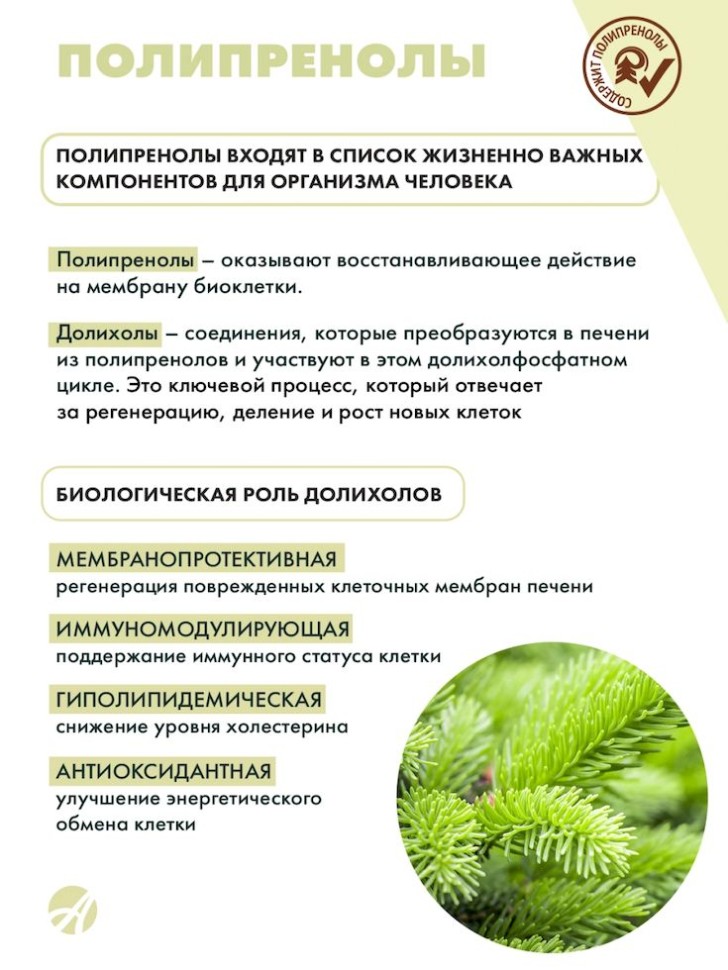 Полипренол пихты для чего. Полипренолы. олеопрен гепа. полипренолы фото. полипренолы в растениях.