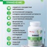 Арт Лайф - Энжект 60 капс. (Engect) - Комплекс  для повышения энергетического потенциала