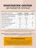 Арт Лайф - Эпигенетик Cистем (Epygenetyk System) 20 пак. - Общеукрепляющий напиток