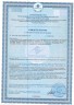 Арт Лайф - Пинотель Идеал 300 г - Кедровый, белково-витаминный коктейль