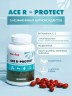 Арт Лайф - АСЕ Р-Протект (ACE R-Protect) 60 капс. - Антиоксидантный комплекс витаминов A, C, E, селена и ресвератрола