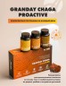 Арт Лайф - Напиток Грандэй Чага (Granday Chaga proactive)