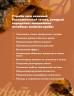 Арт Лайф - Напиток Грандэй Чага (Granday Chaga proactive)