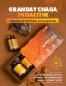 Арт Лайф - Напиток Грандэй Чага (Granday Chaga proactive)