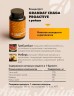 Арт Лайф - Напиток Грандэй Чага (Granday Chaga proactive)