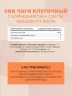 Сок чаги клеточный 450 мл
