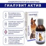 Гиалувит Актив 125 мл - хондропротектор для домашних животных