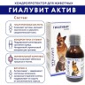 Гиалувит Актив 125 мл - хондропротектор для домашних животных