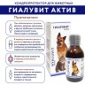 Гиалувит Актив 125 мл - хондропротектор для домашних животных