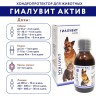 Гиалувит Актив 125 мл - хондропротектор для домашних животных
