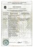 Арт Лайф - Грин Стар 90 капс. - Энергетический комплекс аминокислот и витаминов