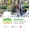 Арт Лайф - Лецитин (соевый) в гранулах 300 г- Комплекс незаменимых фосфолипидов