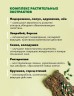 Арт Лайф - Токсфайтер люкс - Универсальный энтеросорбент